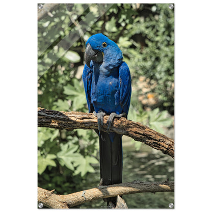 8977705f-e883-4bd4-8b0a-e6da97d0496c