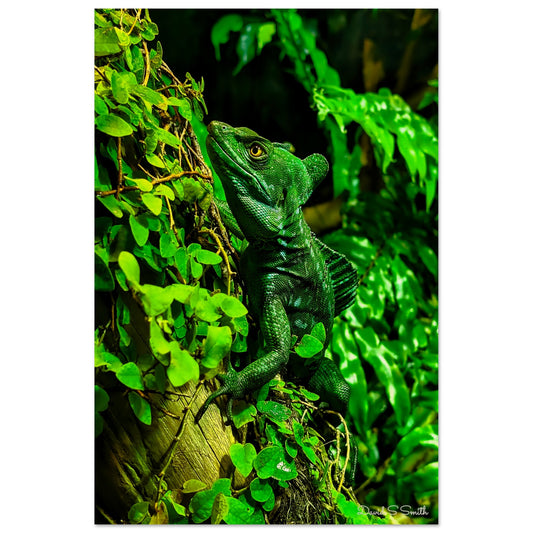 89acbcd2-1284-4998-8f1c-521718ed1e80