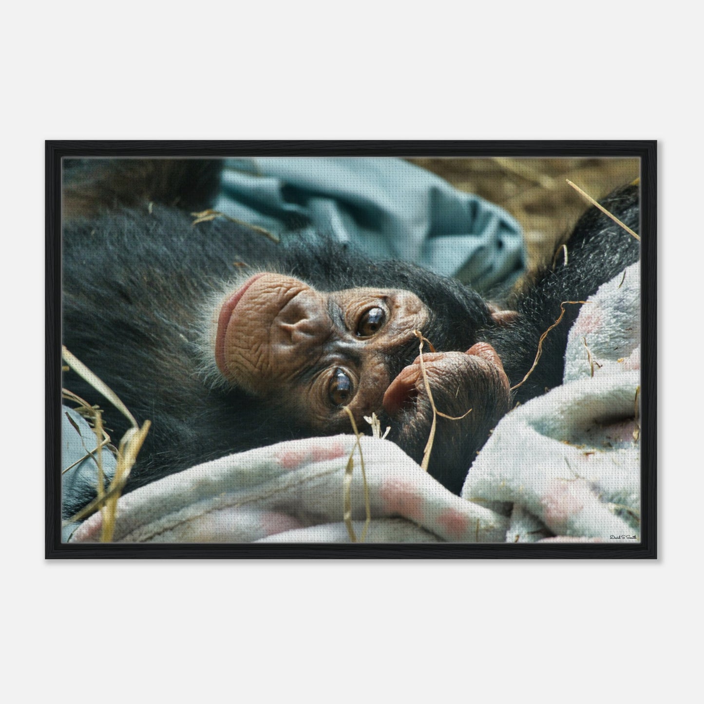 8a5195d3-73b8-40fe-afc1-b09543f5cc82