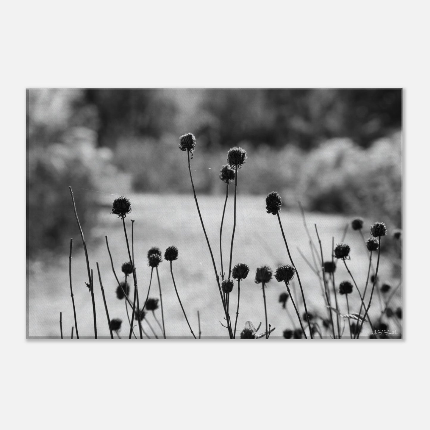 8bd0c069-b400-4bb2-8e3a-16b6b145c3f6