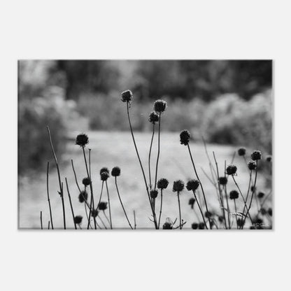 8bd0c069-b400-4bb2-8e3a-16b6b145c3f6