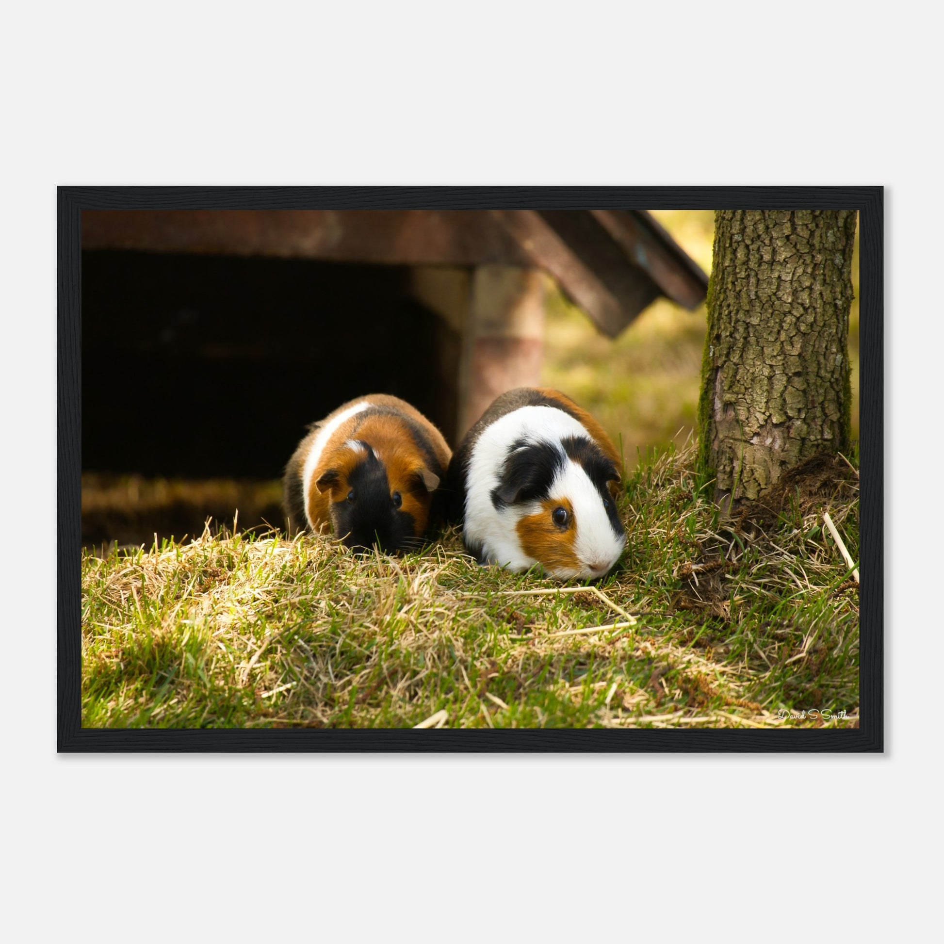 8c6077ab-aca1-470f-b6d5-f5cc786602e4