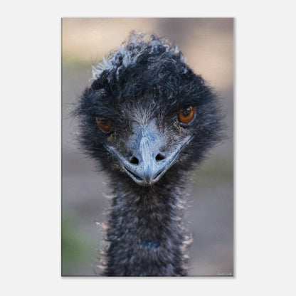 8d26567c-d683-49c8-833b-ef4e17e0c457