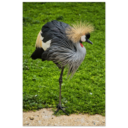 8e3a3655-6dd1-41c4-a6c0-c94a3a585b6d