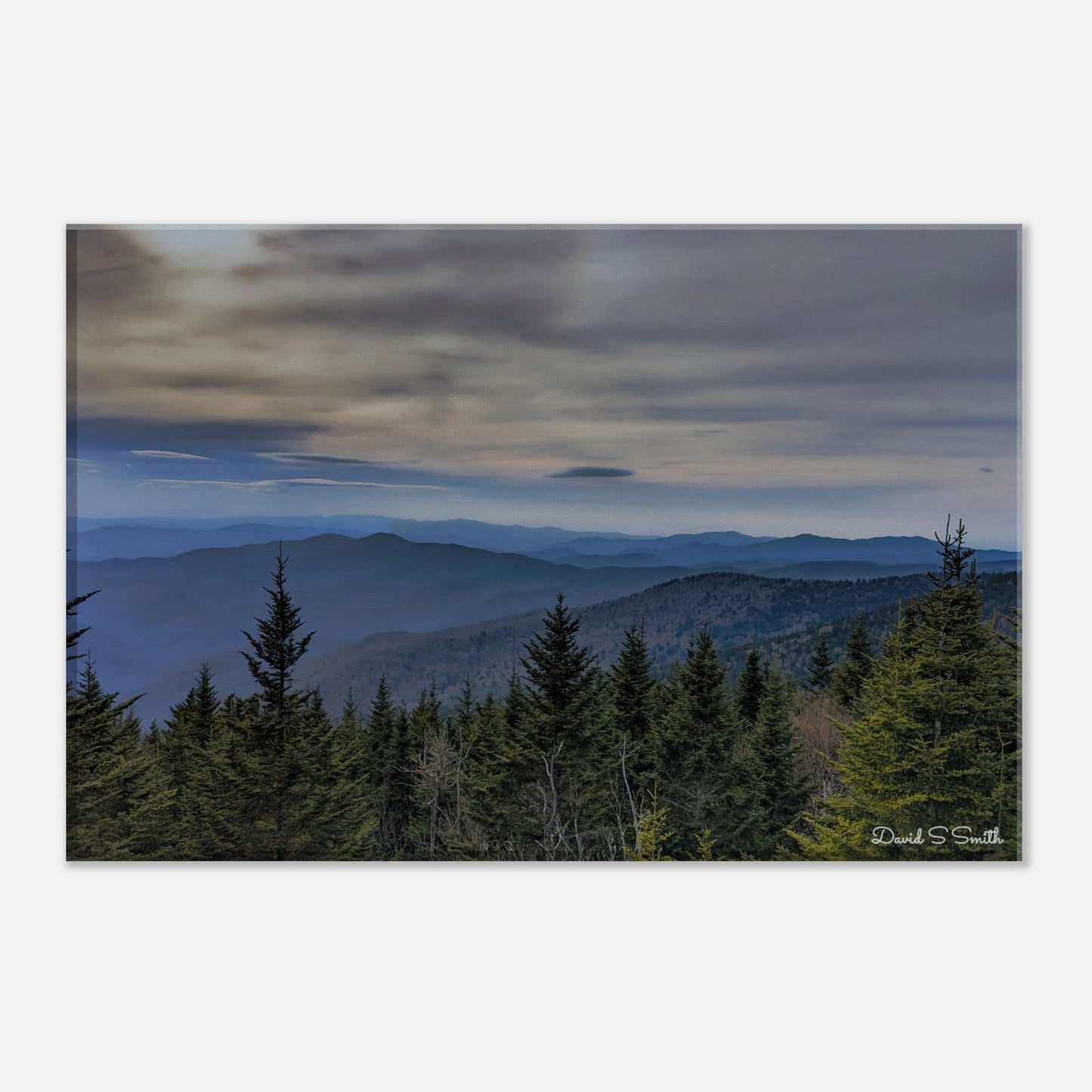 8fb83b8d-f689-43c1-8622-8c505d8d47dd