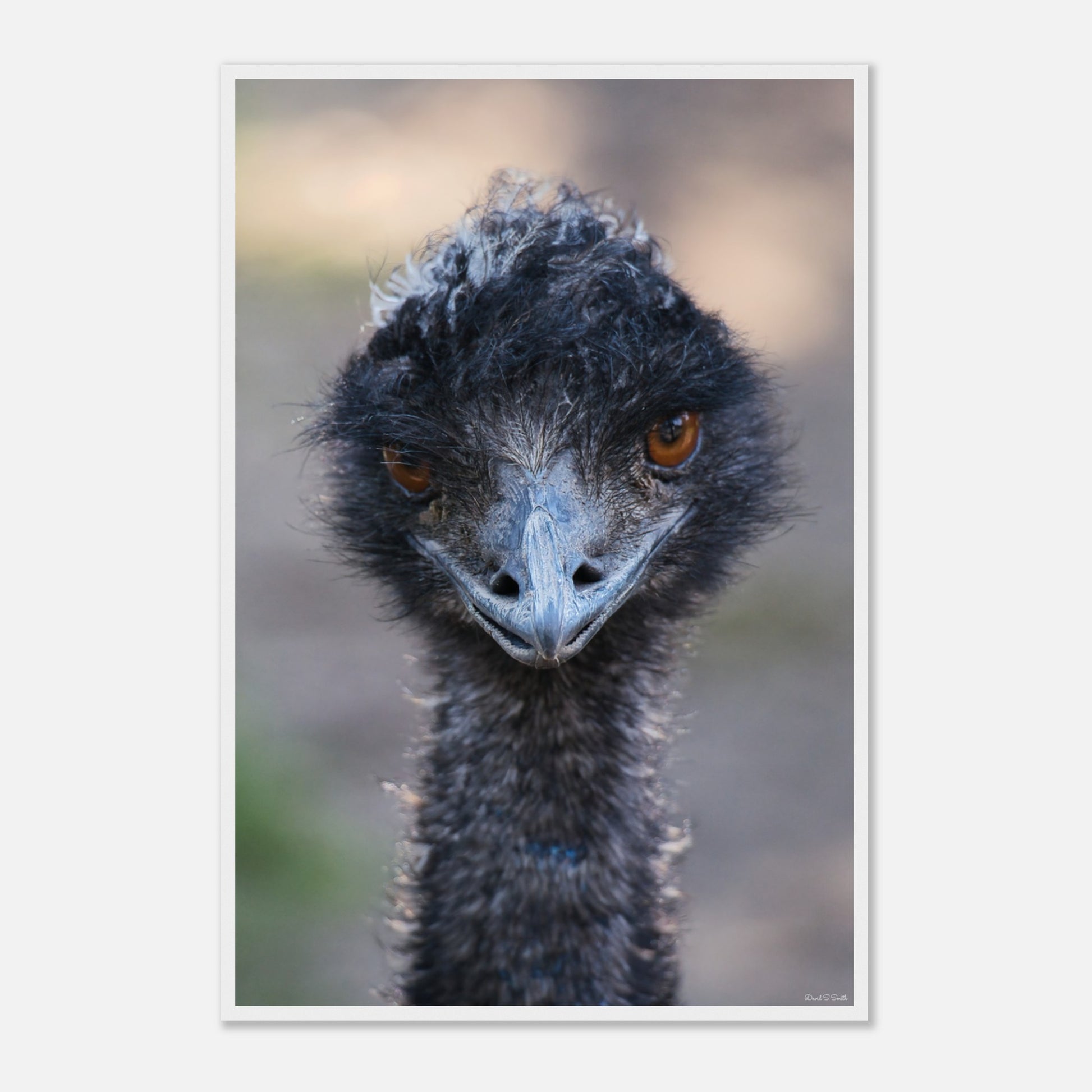 8fcc2727-181a-4782-b180-25c1962fd73c