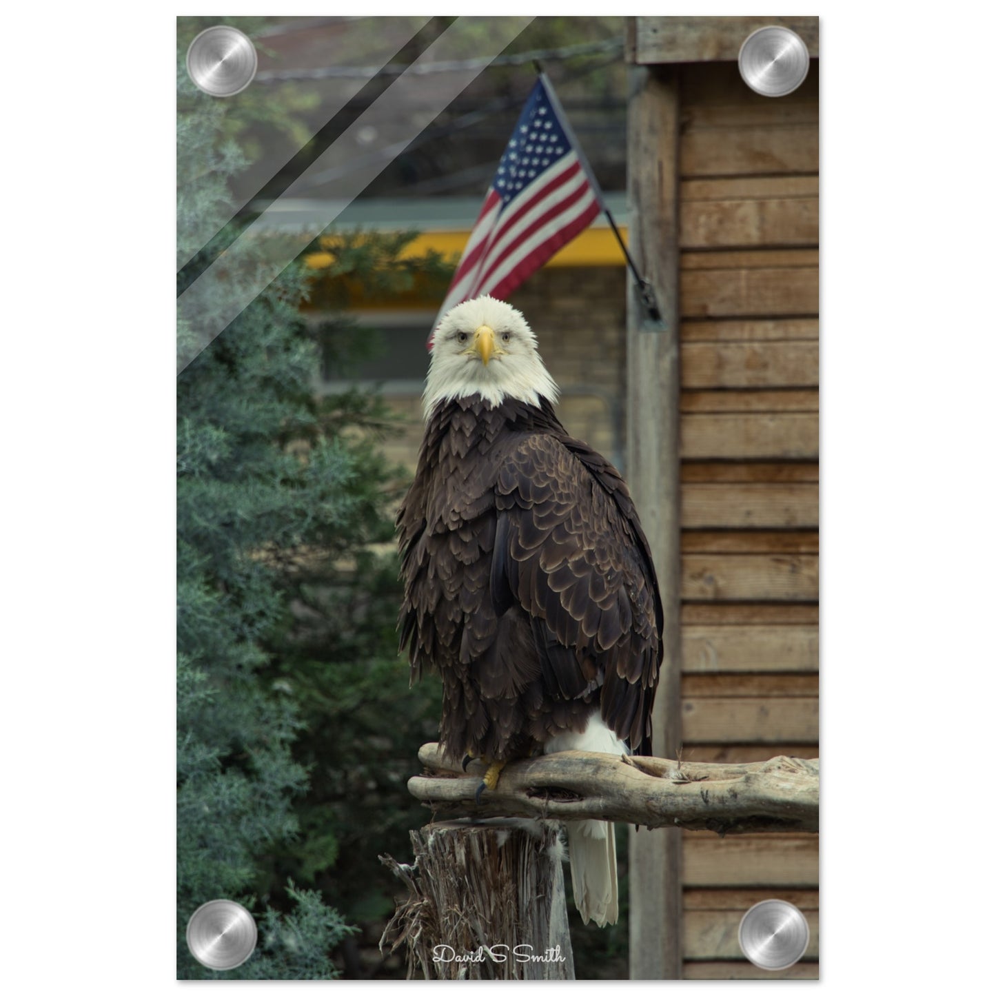 8fec8a43-bc27-46d7-b826-1b3842277299