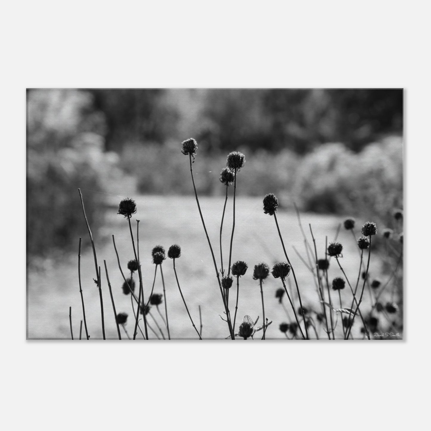 928a1db6-aea8-4604-a183-0aa7a6c7a458