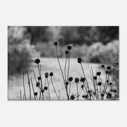 928a1db6-aea8-4604-a183-0aa7a6c7a458