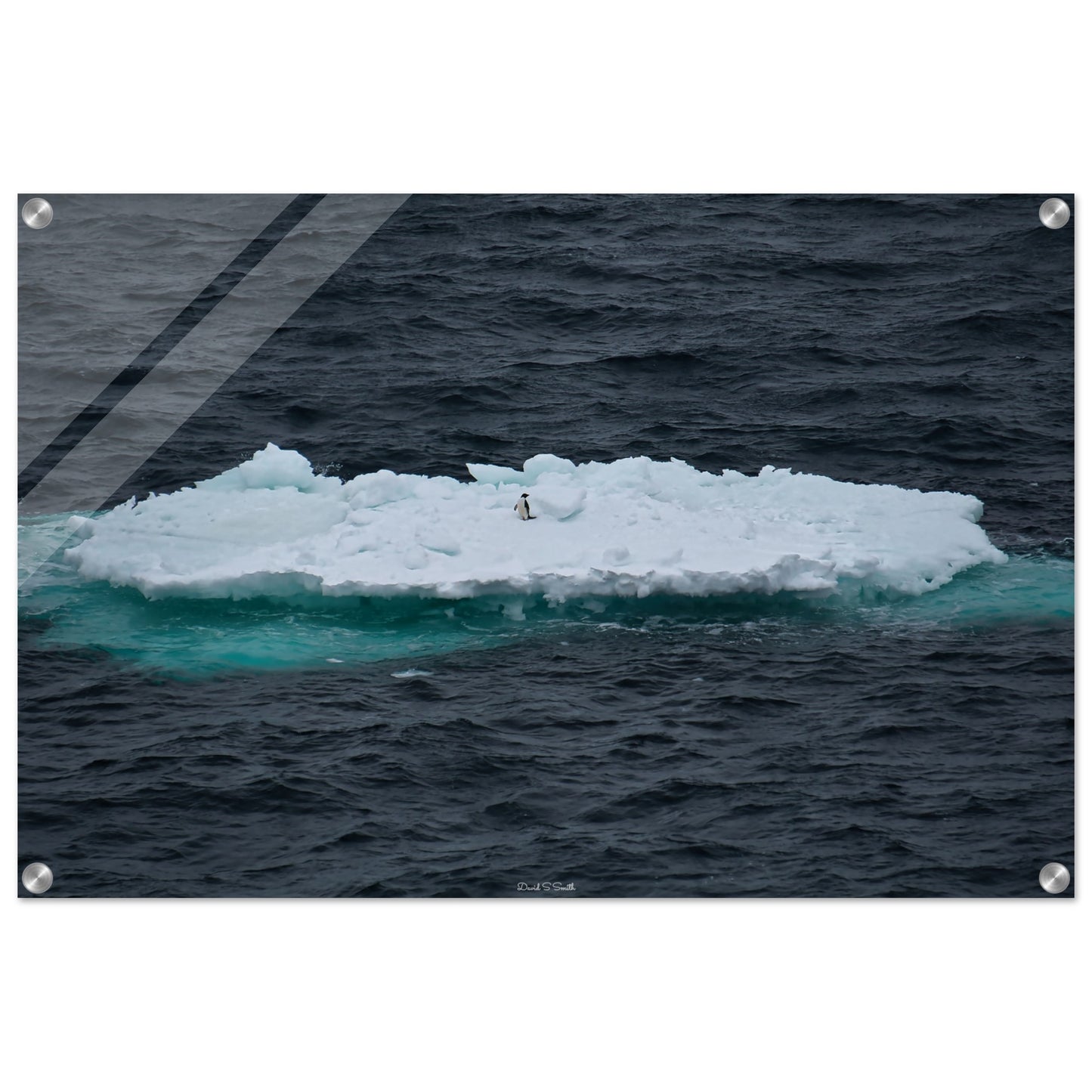 92bf0434-3701-48c5-a4ab-cd8df028dfba