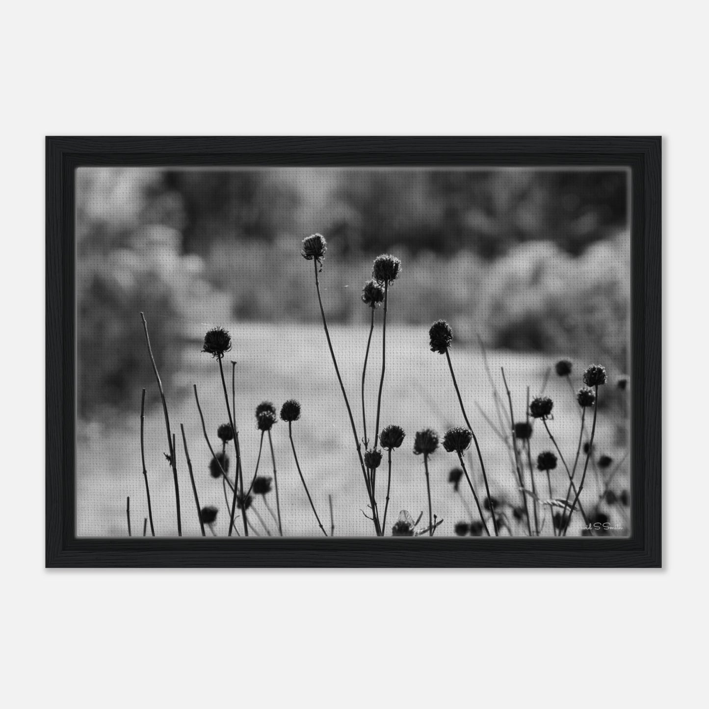 936809f9-31e9-45ab-9307-ef9f8e13c86e