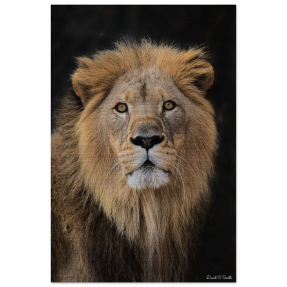 94a91904-a113-4268-bbc6-1869a9e09c98