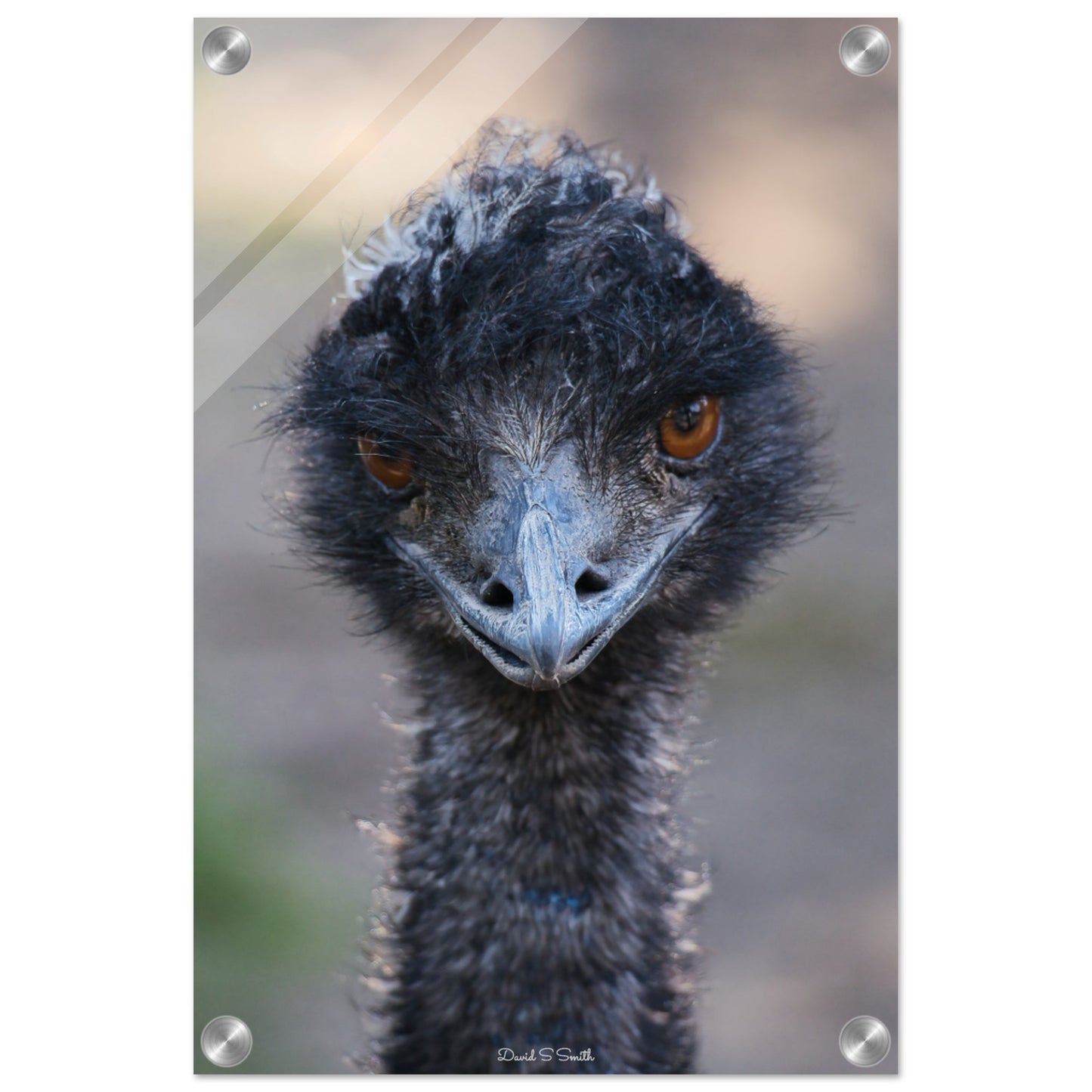 9a49e390-265a-4862-93f0-454ecc7475a6