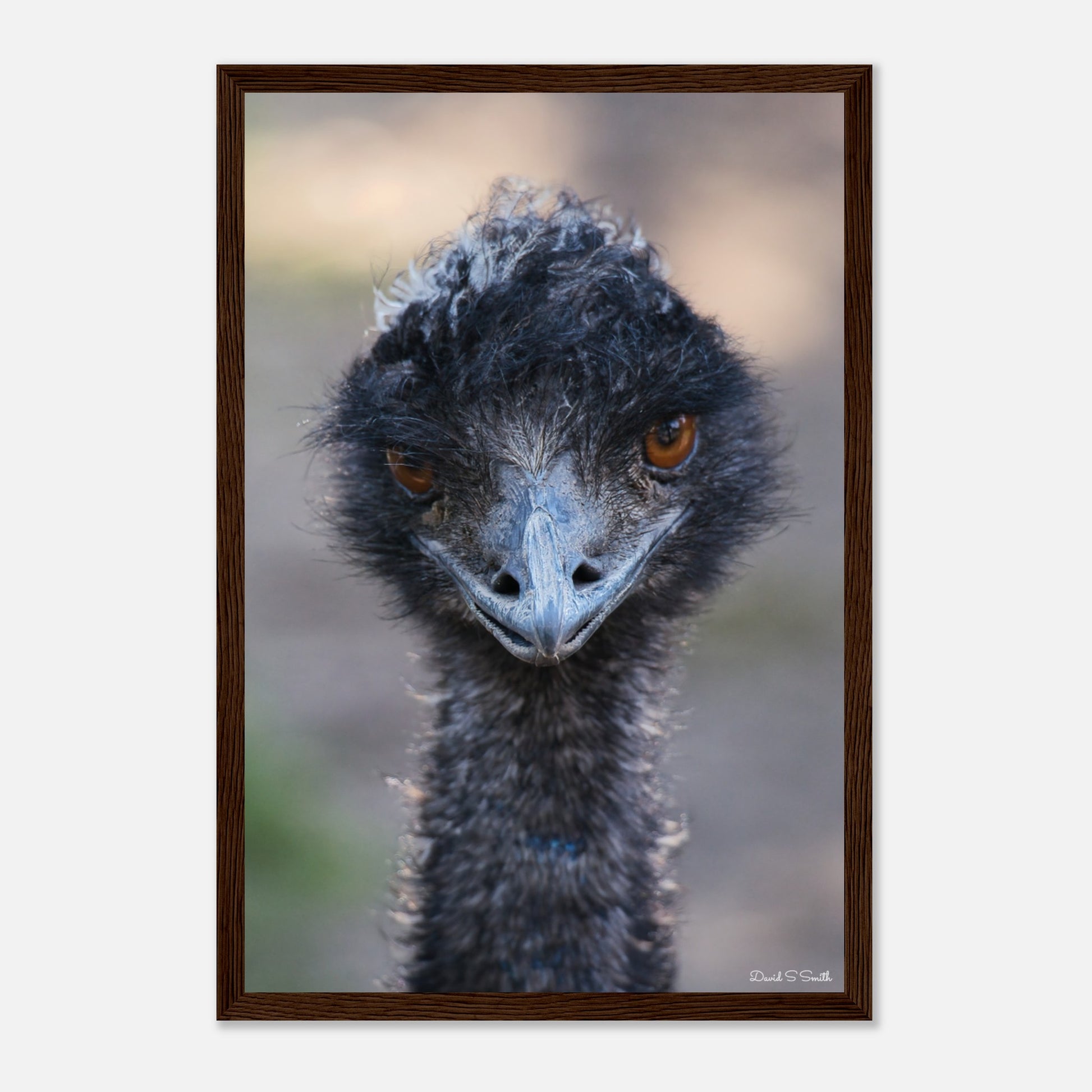 9a7a7d9b-cf74-4ce0-91b7-104db31d3d97