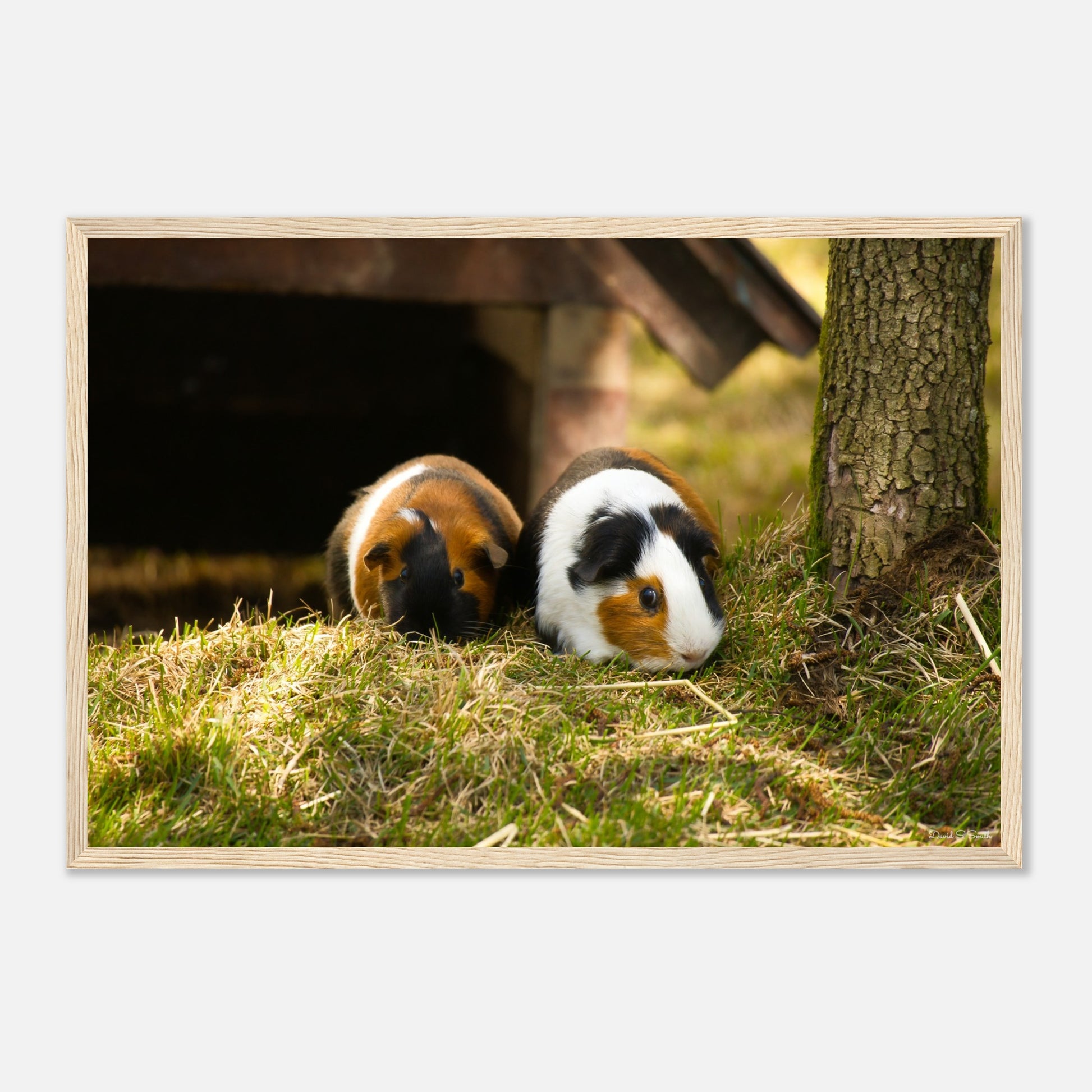 9a88d5bf-b8d2-4d47-acd8-6c004e9c28b8