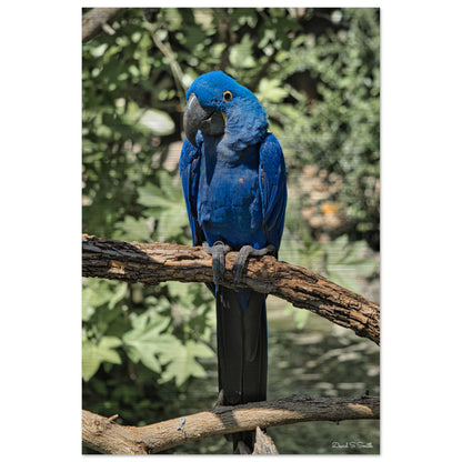 9bd1dbef-08c3-4dc0-97bb-c10abcd762f2