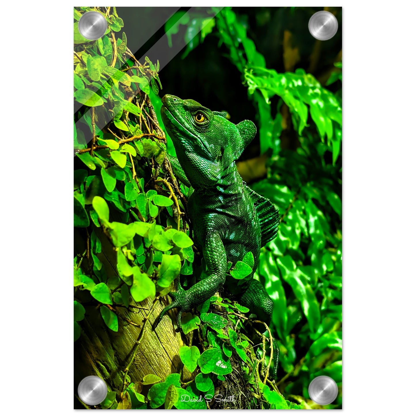 9d61ed8e-5264-4808-b17f-f323b603cfeb