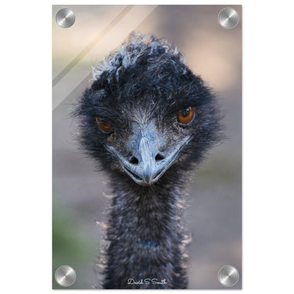 9e41e35b-a073-4683-ad0f-51a0682e778d