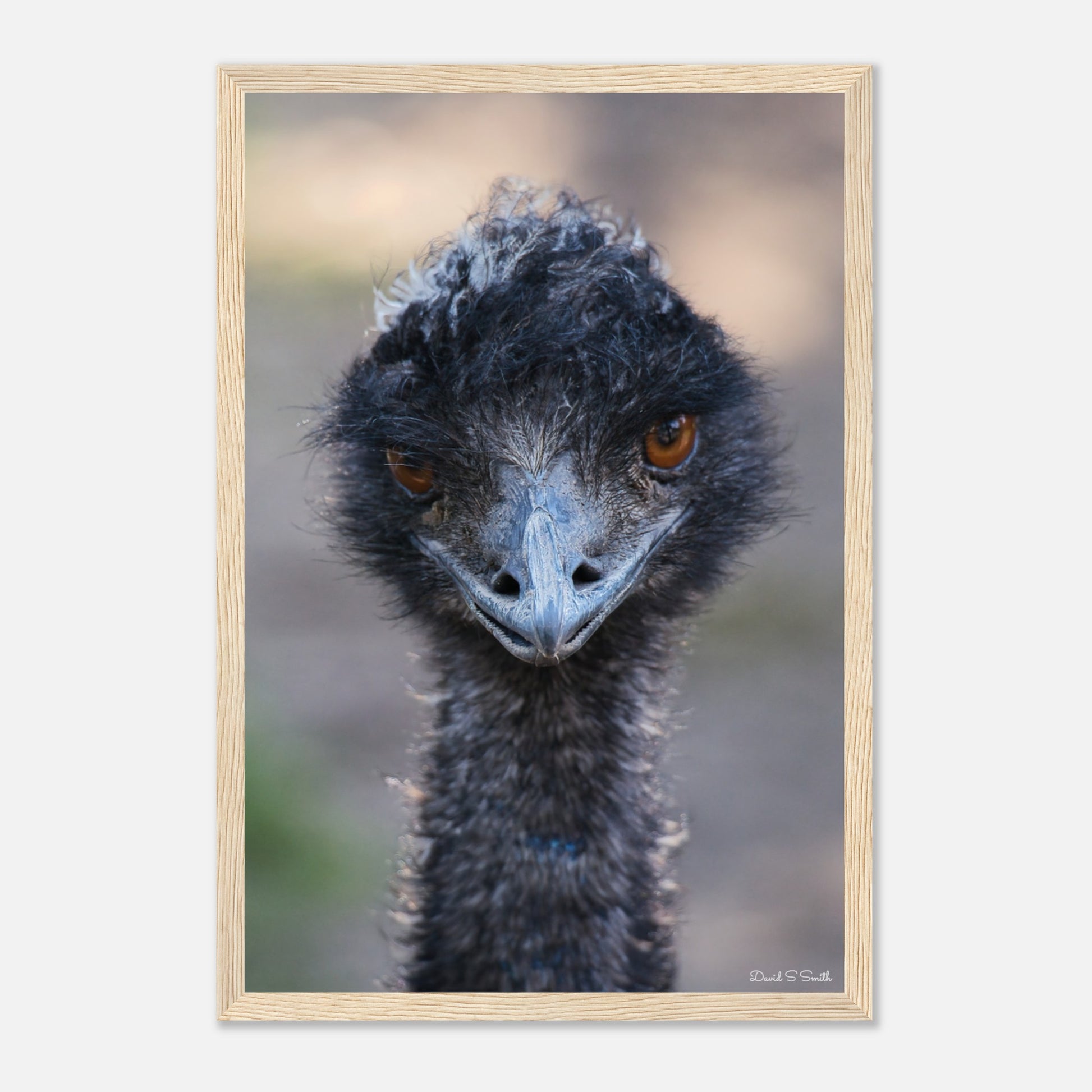 a017cf0c-0de2-45b7-8aef-6aad1fa5acab