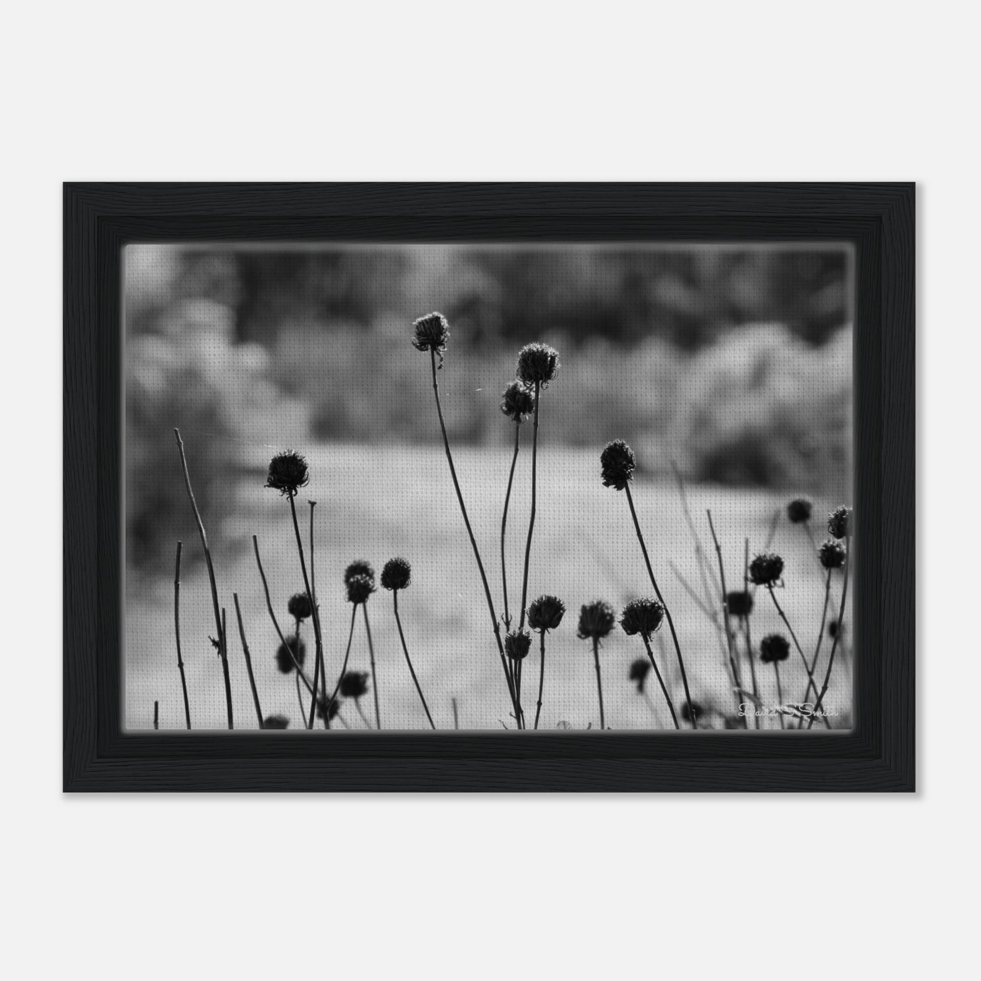 a13c16f8-81c3-4c34-a9e4-7c1417c8b949