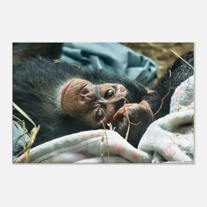 a1f39093-a4a4-44d3-8ef3-b5226a0fb847