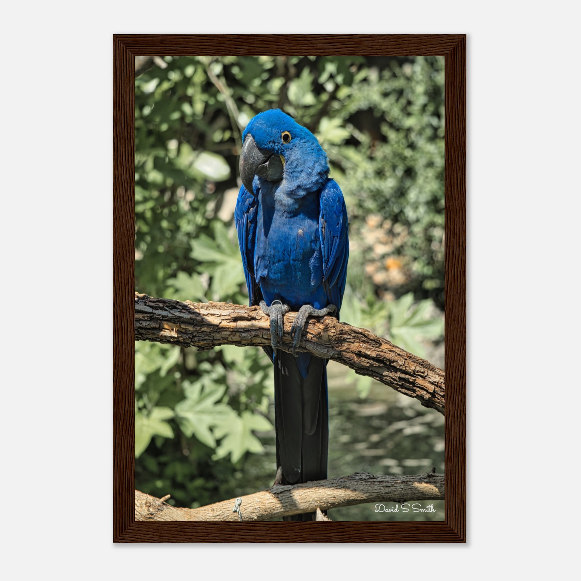 a2f65fb3-c28d-4a49-a77f-f048a95216ed