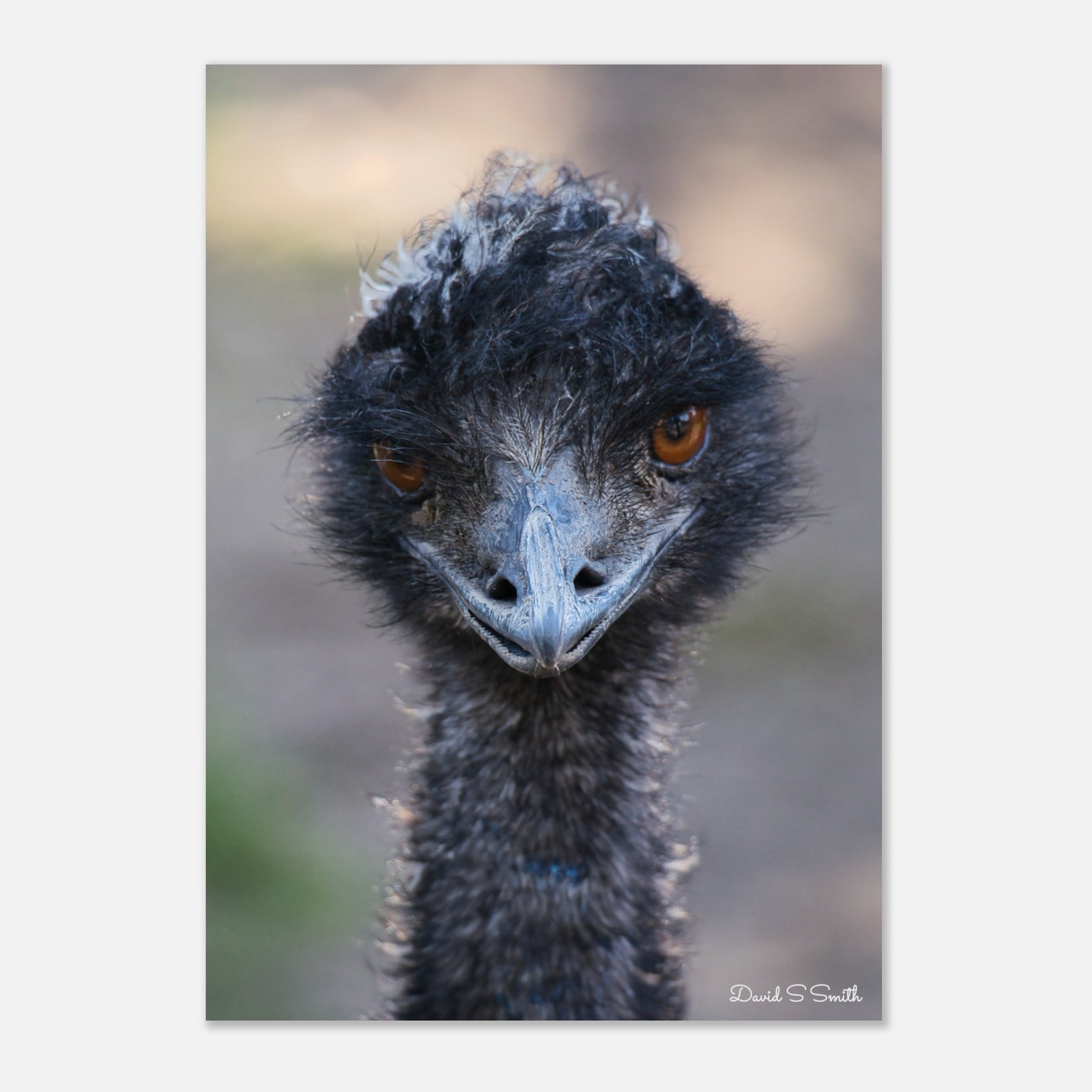 a4c61aca-6f12-48a2-a6ba-1e162813f402