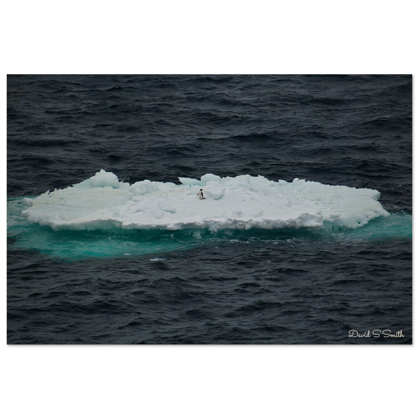 a6b8a951-5700-41b5-952d-5d6f3617365a