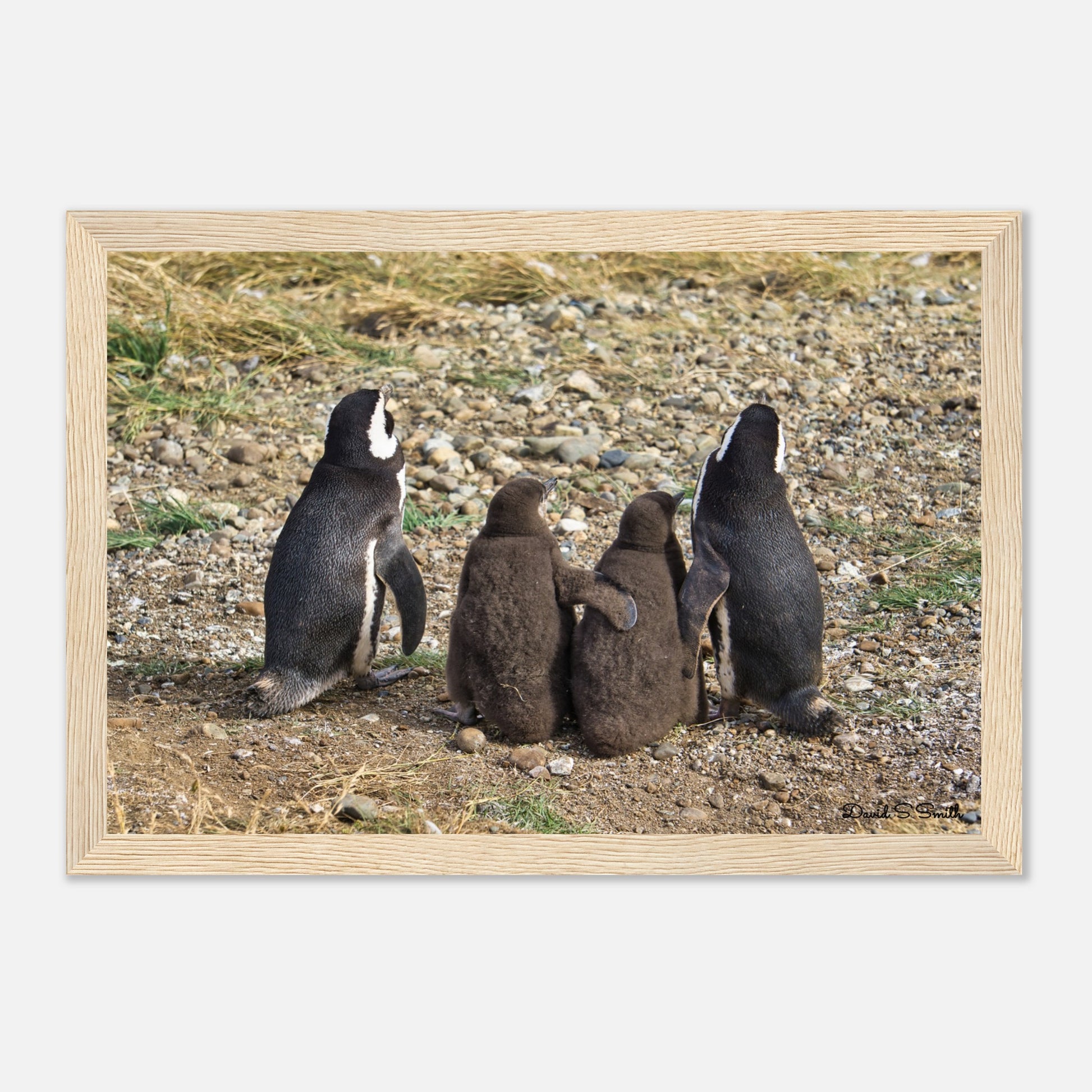 a7a0b791-cf17-4c00-9e43-49c457f6cf10