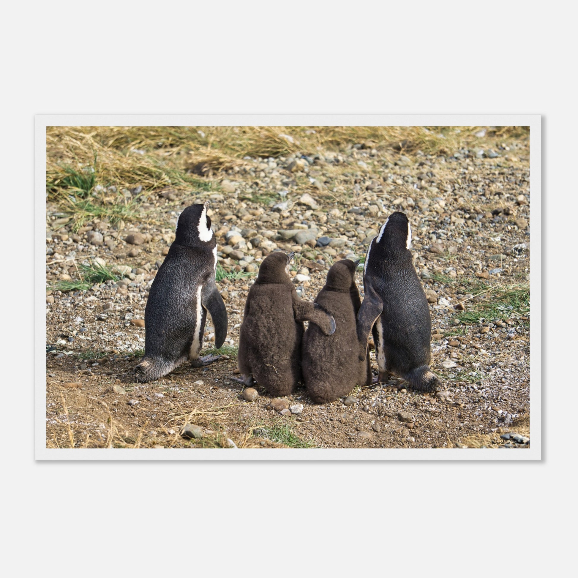 a7c19bea-607a-4fcb-bd72-abb96ba2103d