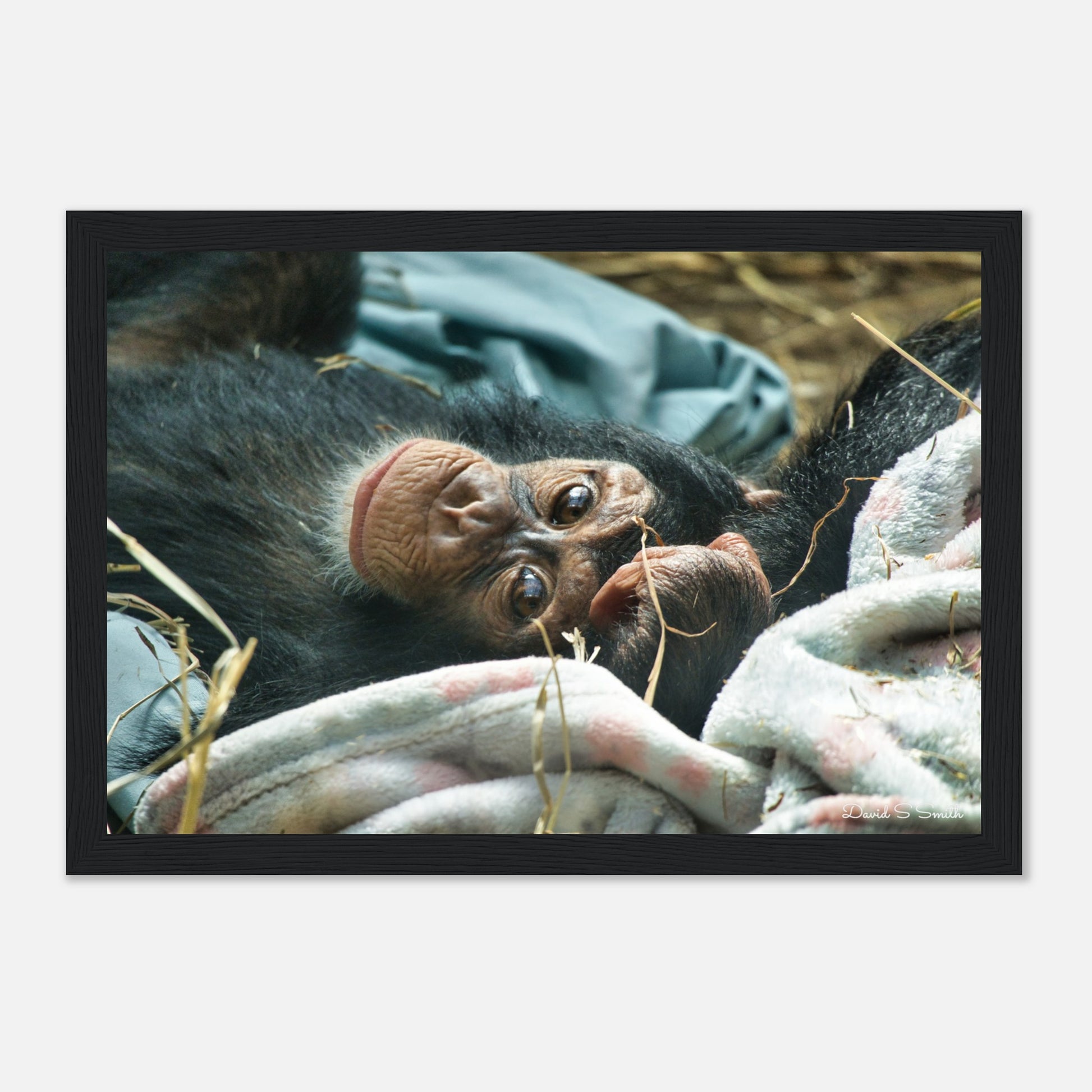 a85eaa4d-a81a-49c9-8261-94384b2719d5