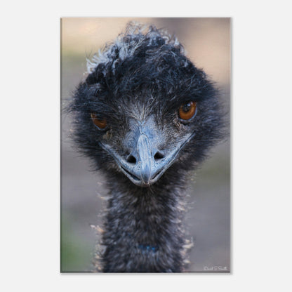 a8b62d47-b50a-47dc-ba87-eb816aa48813