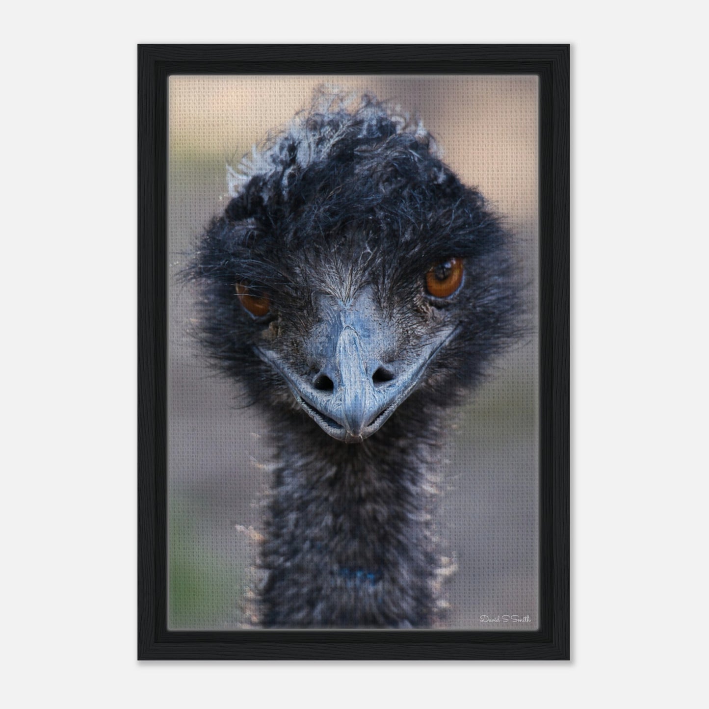 a9de59b2-5177-4e9e-8abd-804c28fc233e