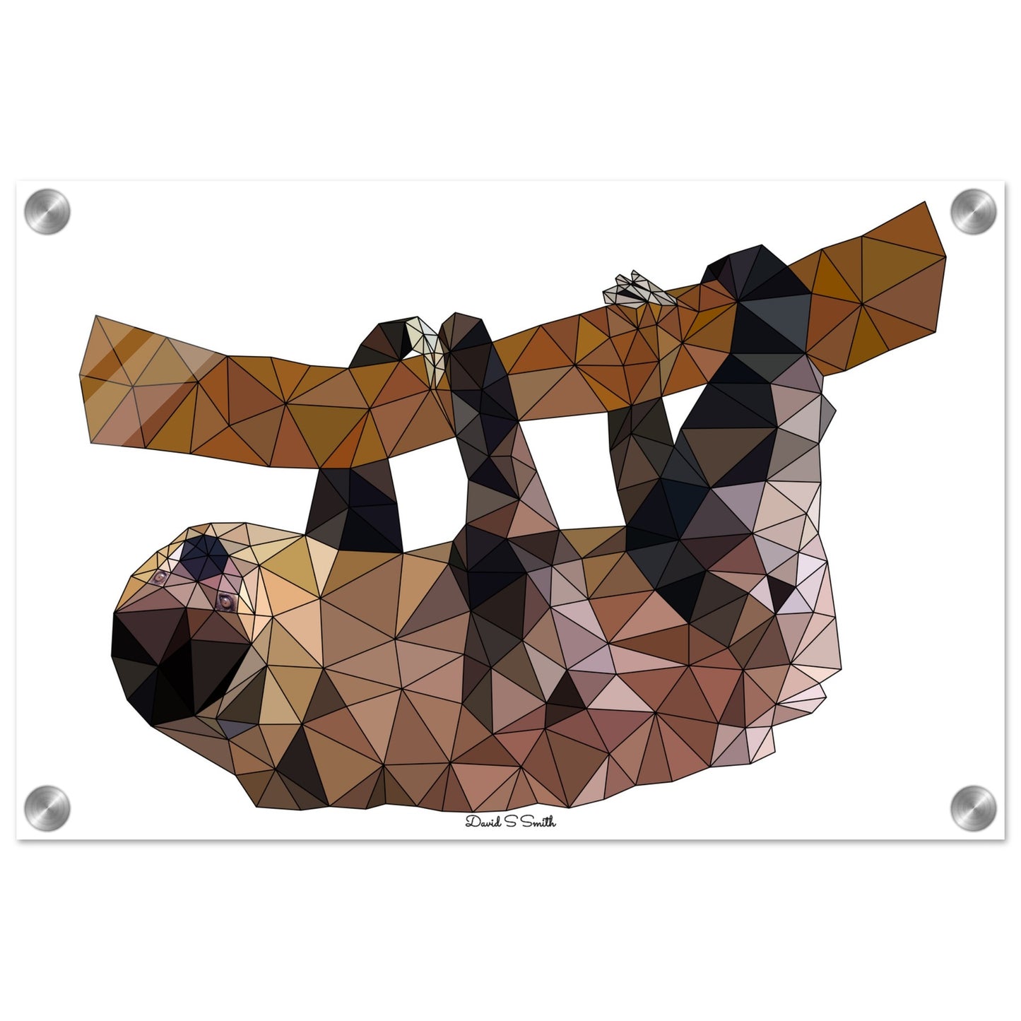 aa2587ca-c168-4a95-b373-e968f435893e