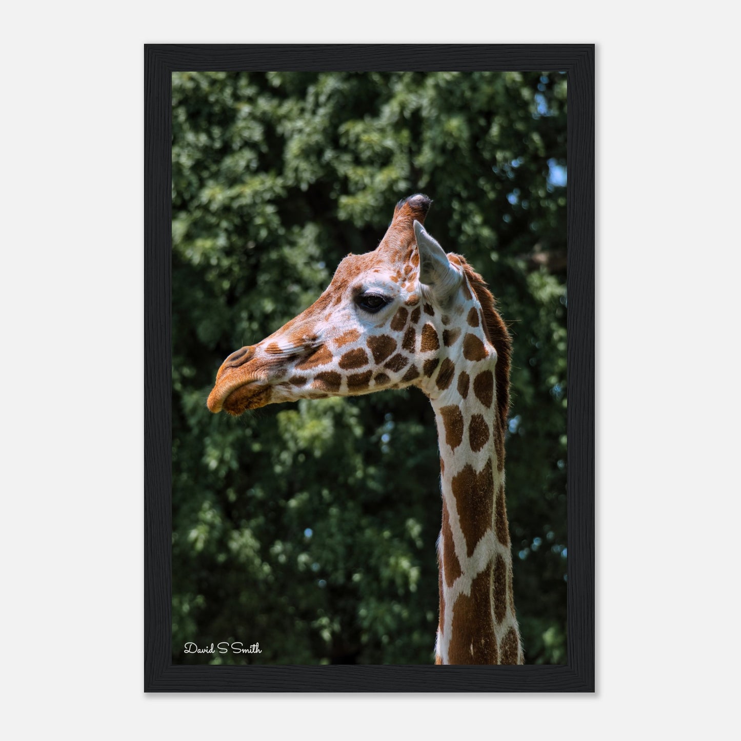 ac505d22-4101-458b-b56b-54f849fa0cee