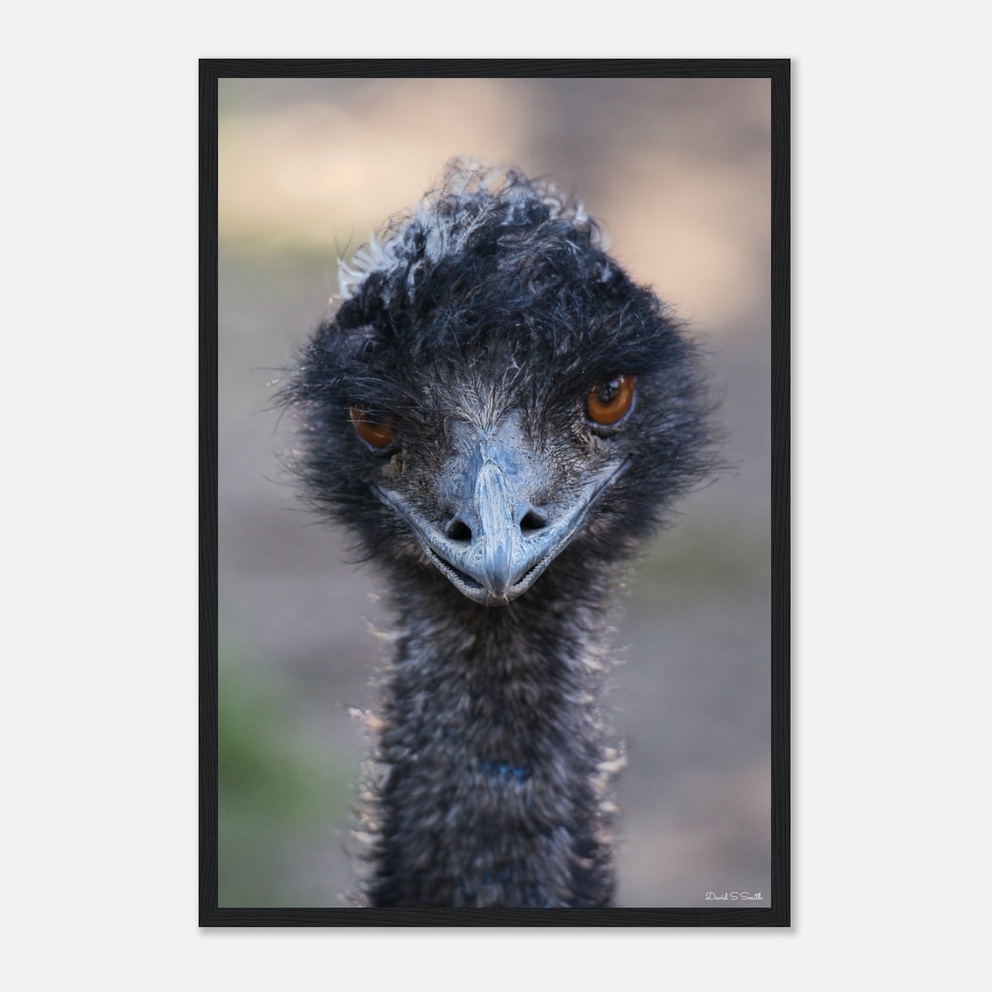 ad07145b-0ca4-4a78-a708-decc8ed92cbd