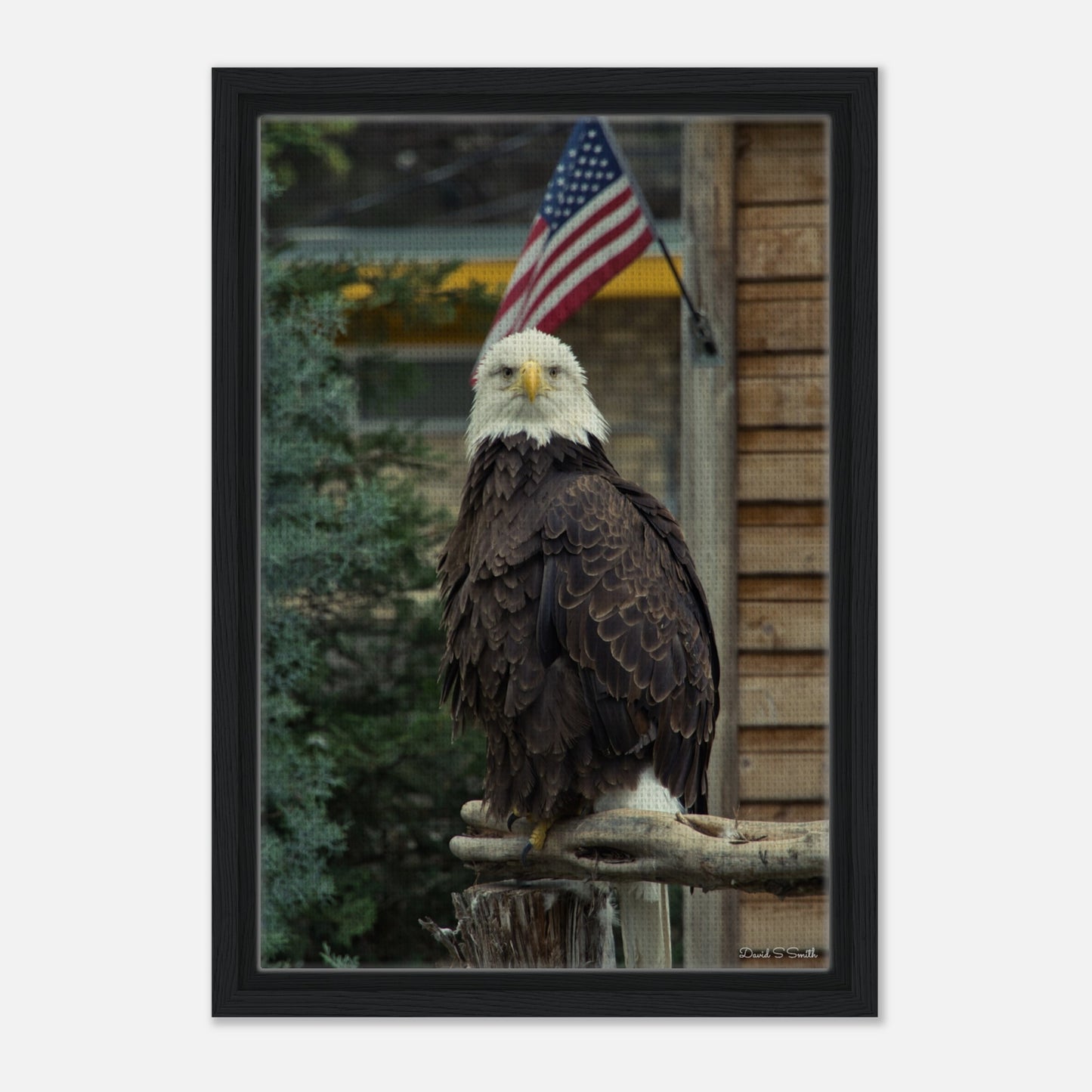 ad752850-c632-4593-b82f-3b4a199c6dc8