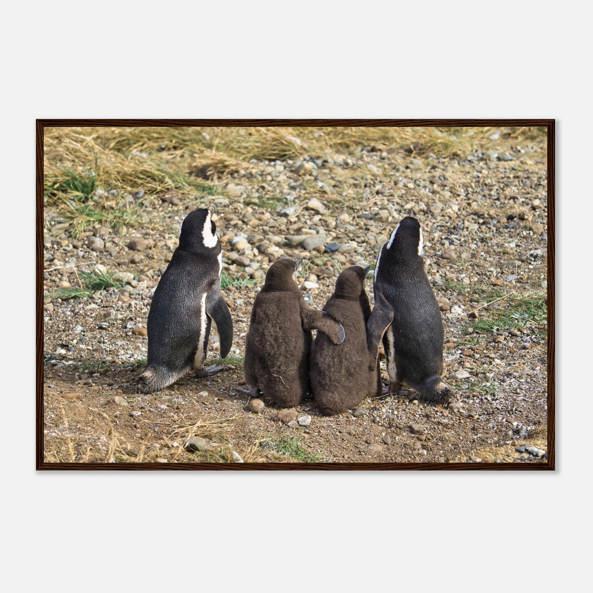 aed5b79d-2580-417c-b6e0-cd7190db2aa5