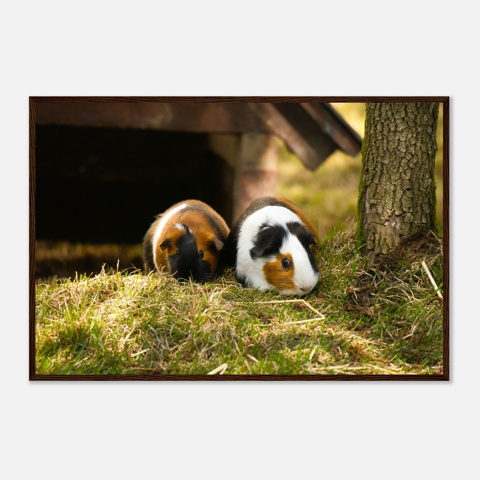 afbe502f-906b-40b6-8b0b-1287cdb5508c