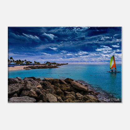 afc55999-de00-4040-abfe-069e15ac2cb0