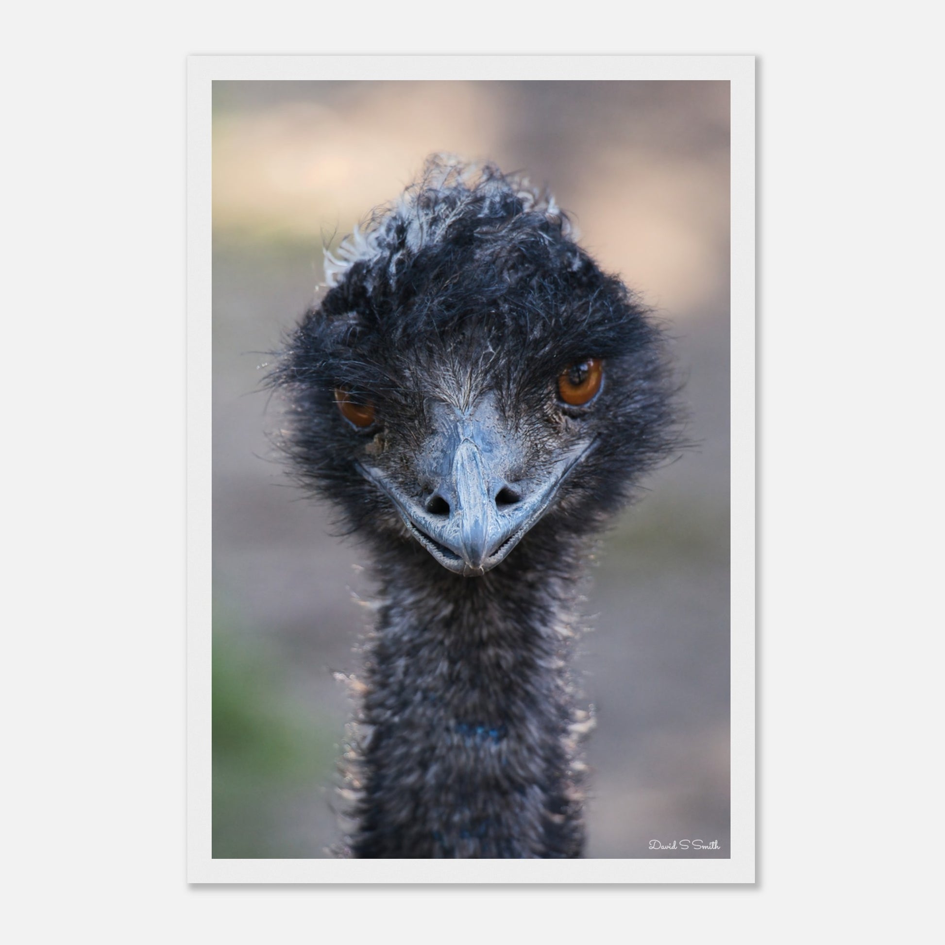 b1cc3e4e-7c47-4bf1-9438-1a237517efb8