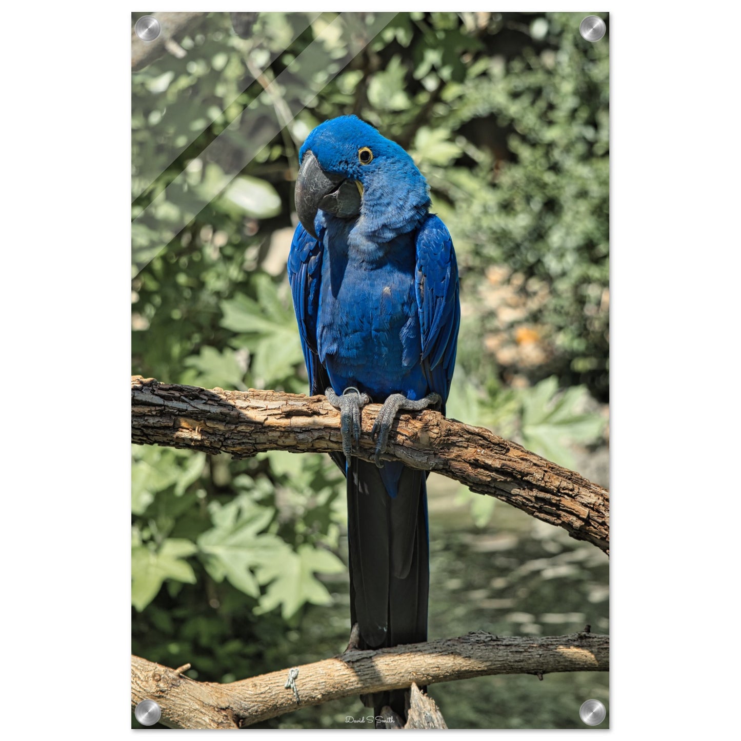 b6654a63-4dd4-4764-8d31-1ffe081f5d45