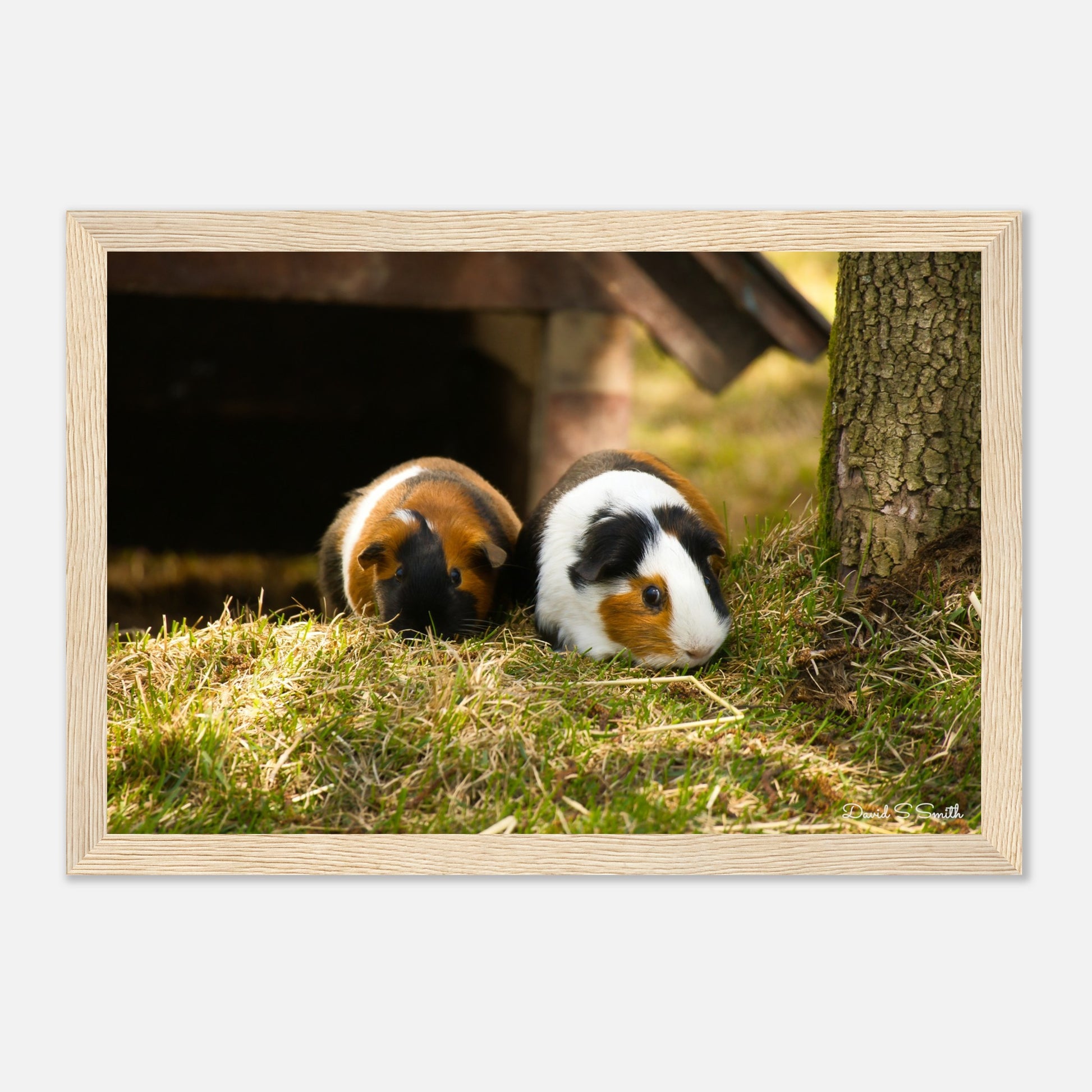 b6bcb664-23f5-4c97-a91a-684c4aa12820