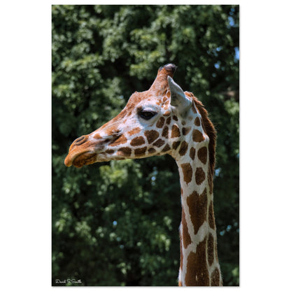 b7e0480e-104f-4830-871f-bb2d972a6138