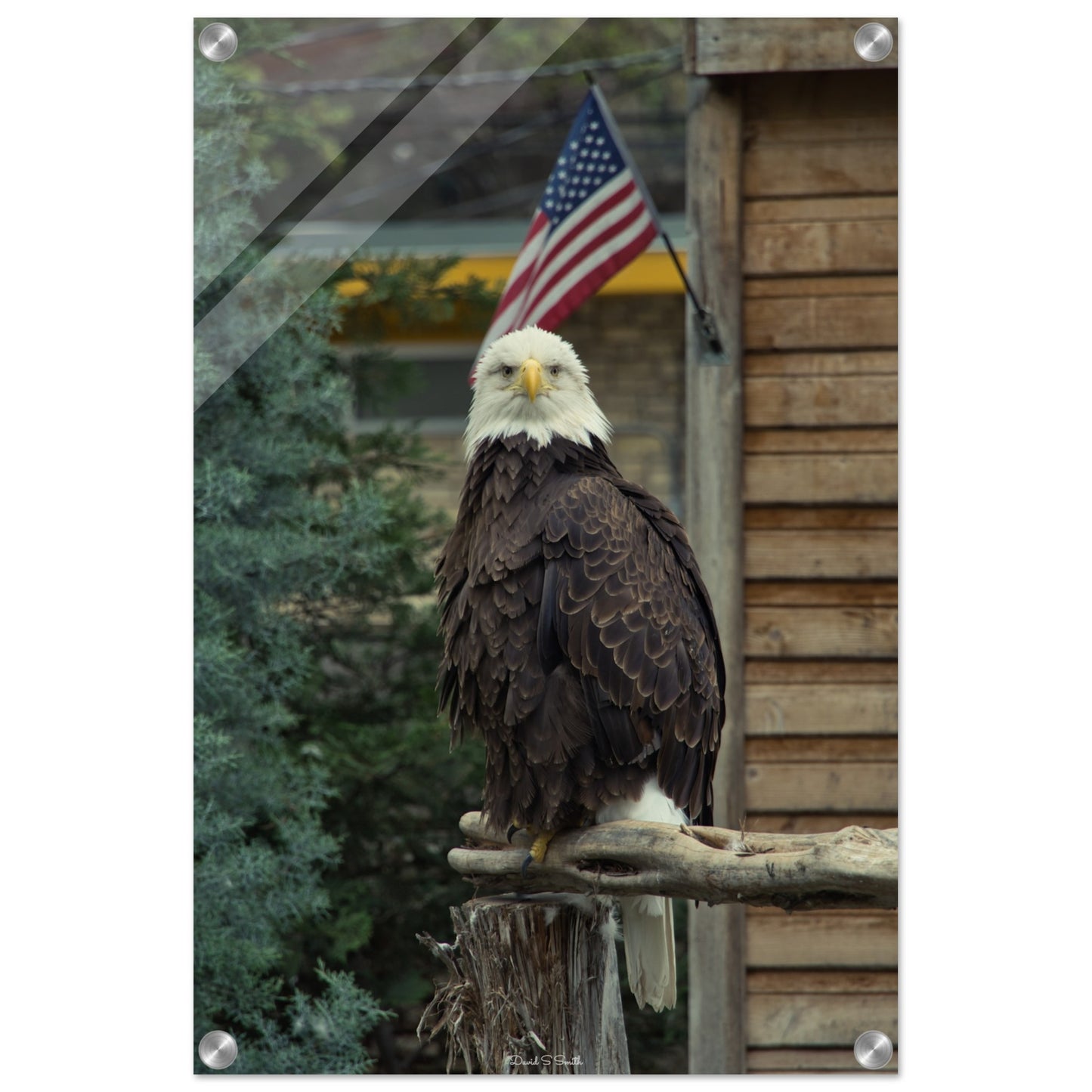 b8fd5371-3d56-466a-adf7-809d54625e5e