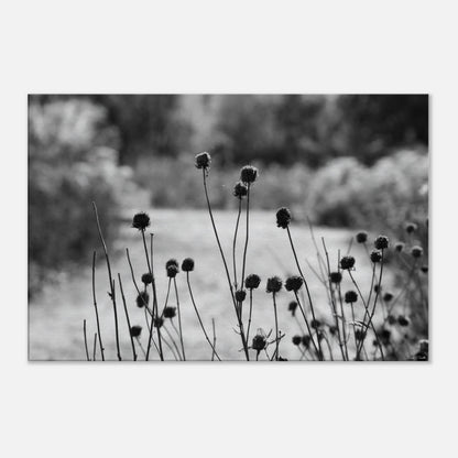 b9ac2af6-1e92-4fcc-95cf-e5447c1f6381