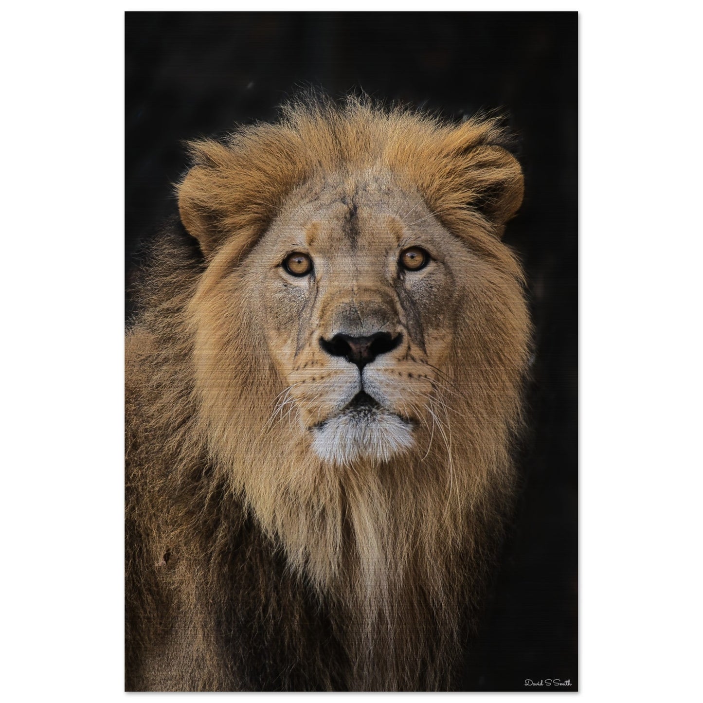 b9d62a38-e69b-496b-90c0-54f4dced2258