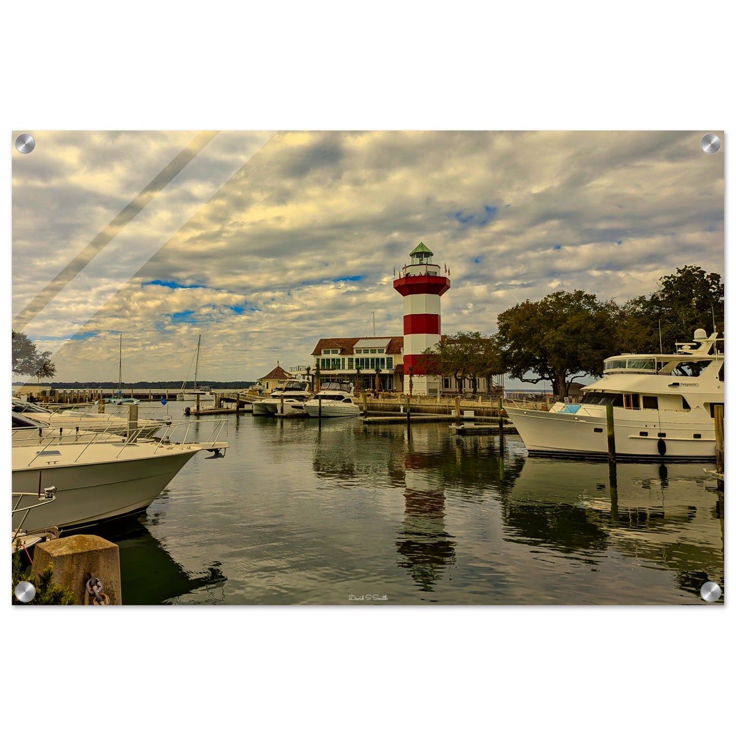 bf28d31c-4211-4b00-8b09-4c49e751bf1b