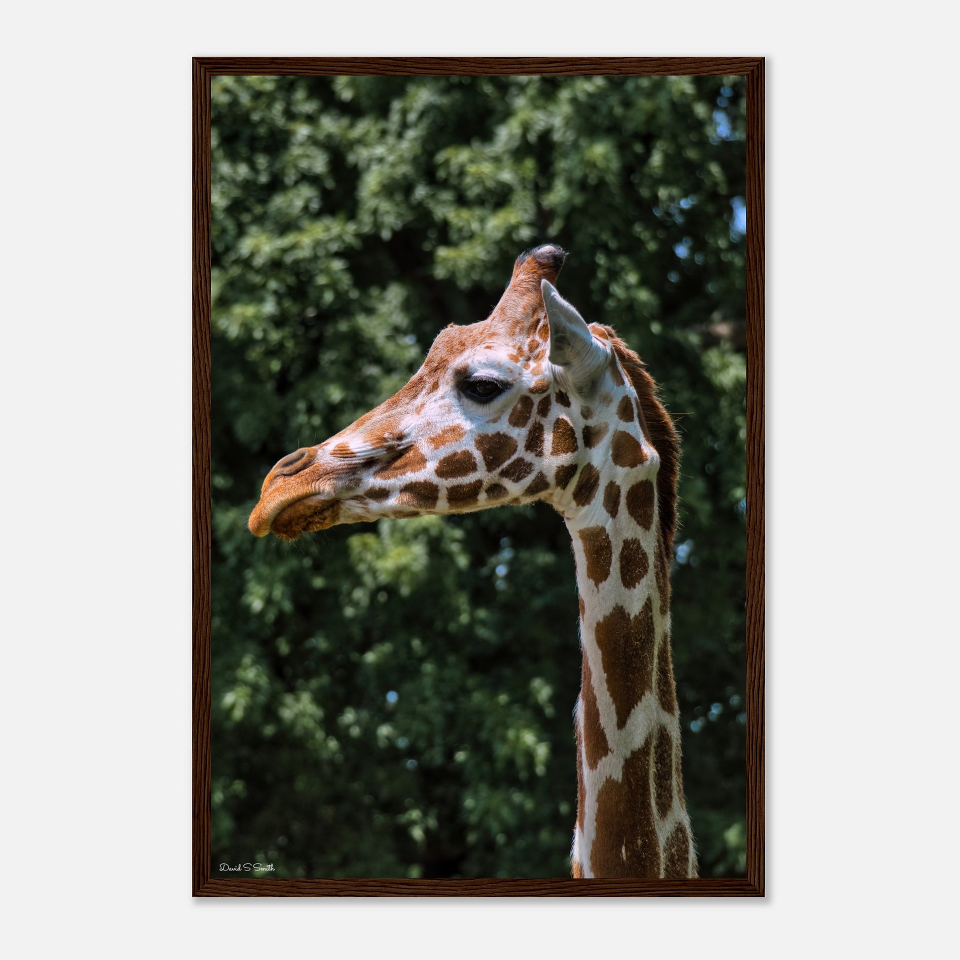 c0a82cc2-95ef-49ba-899a-8f6113a76969