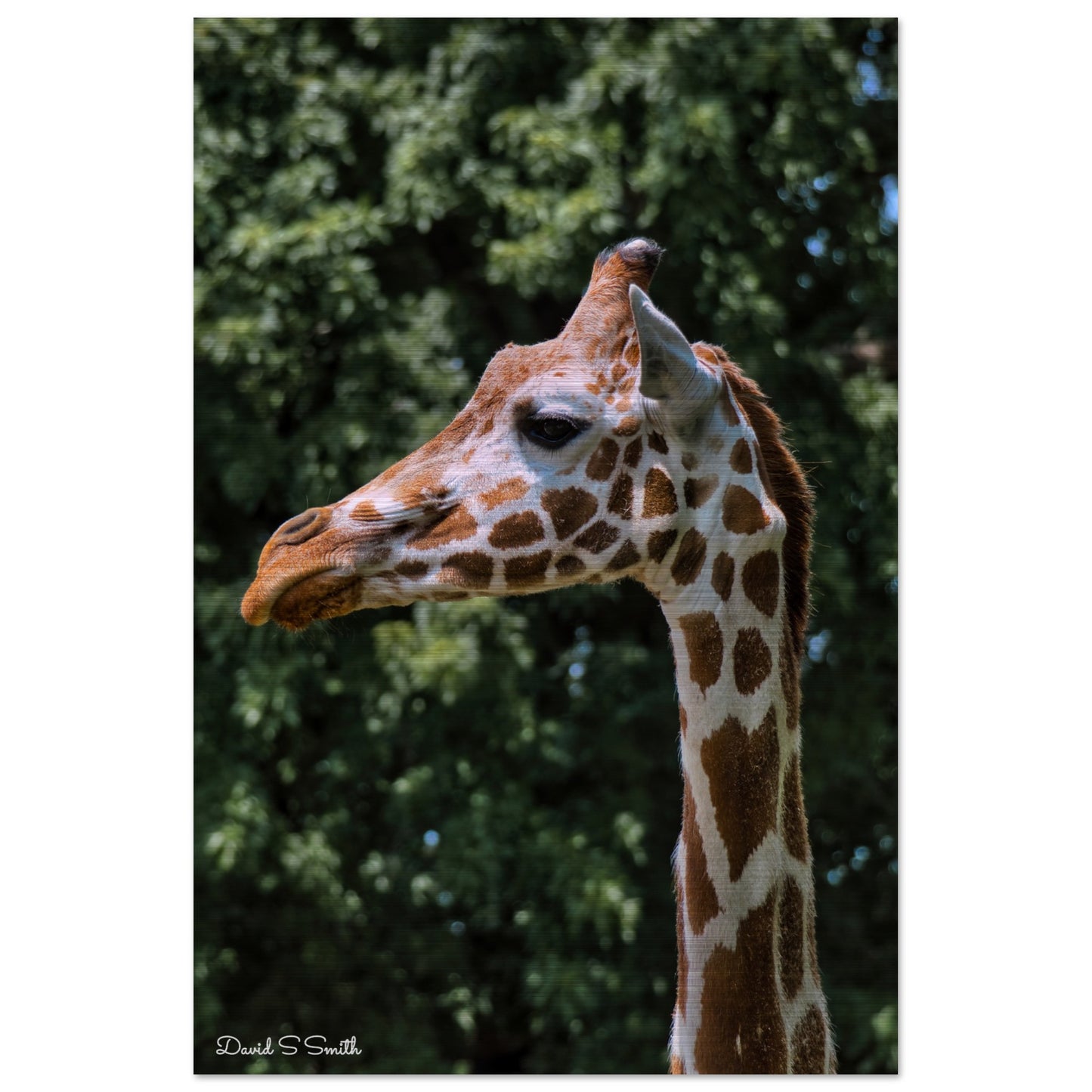 c13fffef-0d12-444f-a2b7-7a6c21d2856a